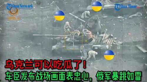 车臣吃瓜,瓜田里的独特风情