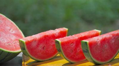 西昌教练吃瓜视频,揭秘教练圈层生活点滴