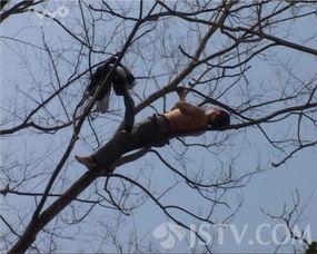 男生爬树吃瓜,男生爬树吃瓜的欢乐时光