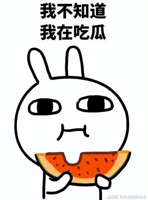 吃瓜玛卡巴卡,揭秘神秘水果的神奇功效与美味之旅