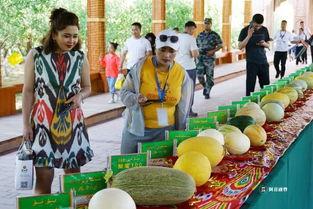 520哈密吃瓜群众,吃瓜群众的欢乐盛宴