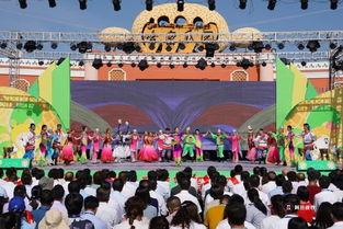 520哈密吃瓜群众,吃瓜群众的欢乐盛宴