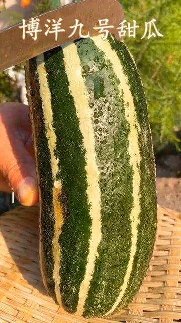 这个什么瓜怎么吃,轻松掌握夏日消暑美食攻略