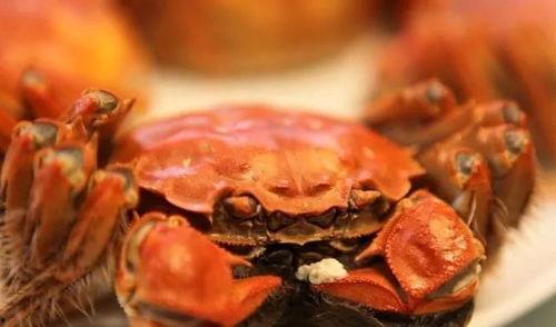 瓜妈cc吃大闸蟹视频,一场味蕾的奢华之旅