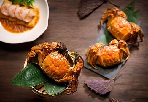 瓜妈cc吃大闸蟹视频,一场味蕾的奢华之旅