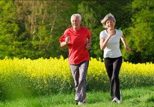 老人跑步集体吃瓜,老人们跑步吃瓜，共享健康与欢乐时光