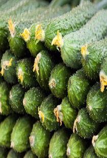 怀孕吃瓜好不好,健康与禁忌的平衡之道