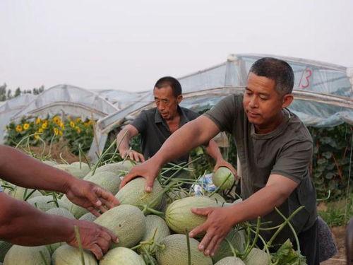 吃瓜宜兴徐某,宜兴徐某事件始末