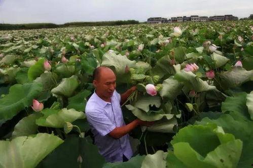 吃瓜宜兴徐某,宜兴徐某事件始末