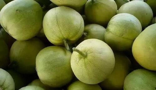 吃瓜也吃不明白,揭秘娱乐圈那些你“吃瓜”也吃不明白的内幕