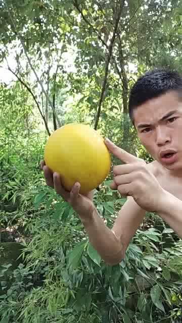 手哥吃瓜,揭秘娱乐圈那些不为人知的幕后故事