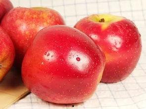 咳嗽可以吃苹果瓜,缓解咳嗽的天然良方