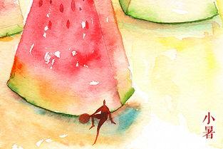 南北方吃瓜,瓜果飘香，味蕾间的地域风情