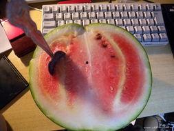 浅哥吃瓜,揭秘娱乐圈那些不为人知的幕后故事