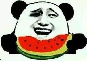 吃瓜群众卖狗头,狗头表情包背后的故事与魅力