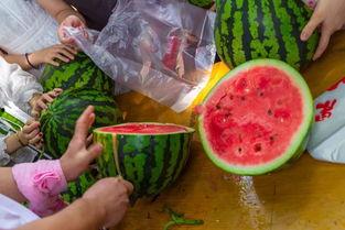 欧洲吃瓜视频,揭秘欧洲街头美食与趣味瞬间