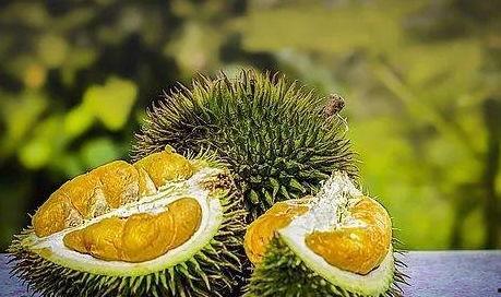 吃瓜会长小号,网络红人的幕后故事