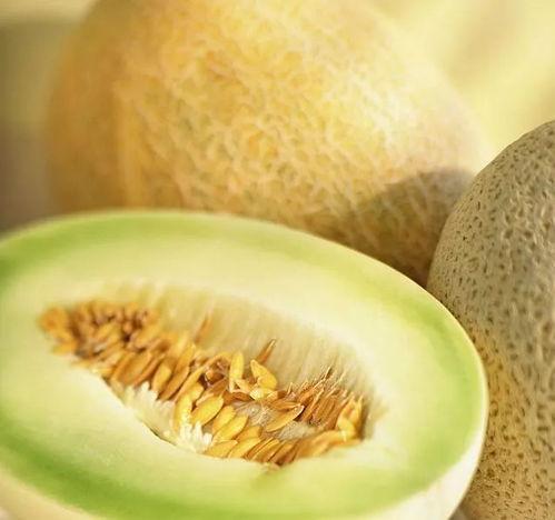 吃小白瓜可以减肥,轻松享瘦，美味不减