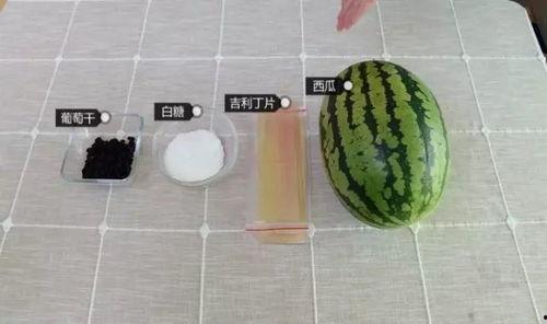 吃瓜技能变身,揭秘娱乐圈幕后真相