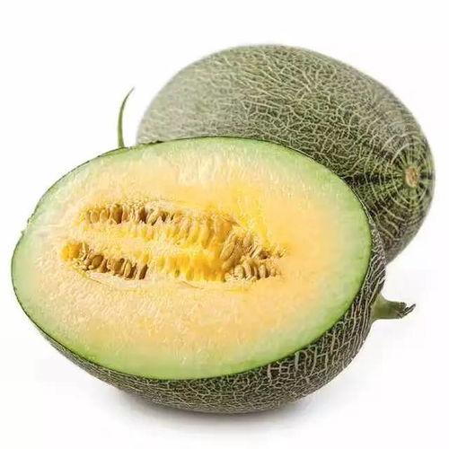 只吃最甜的瓜是什么瓜啊