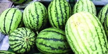 只吃最甜的瓜是什么瓜啊