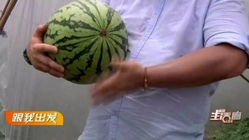 宜昌吃瓜群众图片,揭秘夏日街头文化