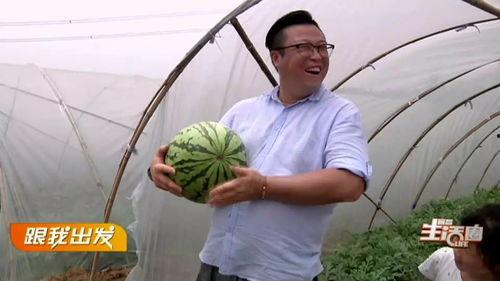 宜昌吃瓜群众图片,揭秘夏日街头文化