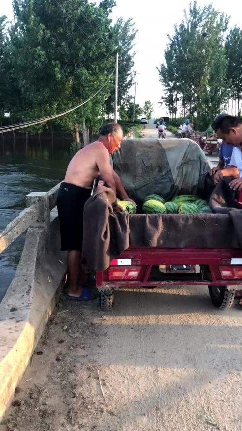 上游吃瓜下游打扫