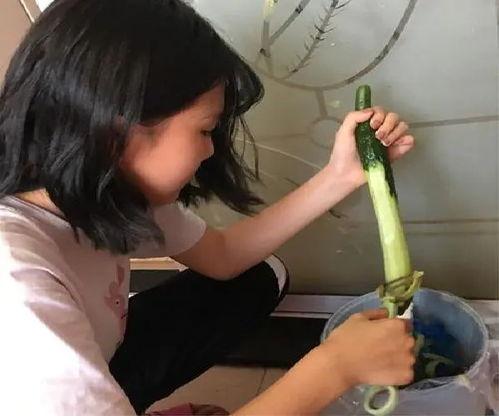 沈阳女孩吃瓜,揭秘网络热议背后的真相