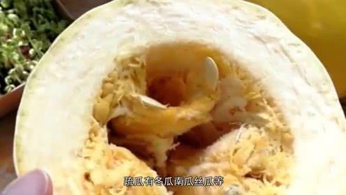 吃的拉丝的瓜,探寻拉丝瓜的独特魅力