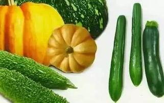 吃瓜会变好,见证美好瞬间