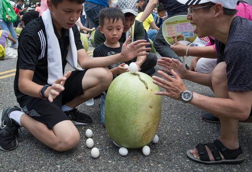 台湾民众吃瓜视频,吃瓜视频背后的社会现象解析