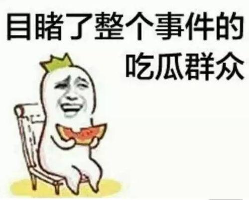 俞嘉婷吃瓜,揭秘娱乐圈幕后故事