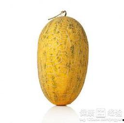 外国人夏天吃哈密瓜吗,外国友人也爱上中国哈密瓜