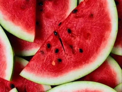 西瓜喜欢吃瓜,探寻瓜中佳肴的甜蜜奥秘