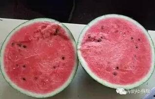 最反胃的吃瓜,挑战你的味蕾极限