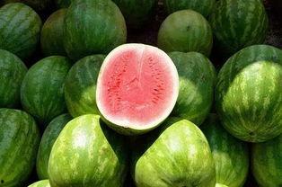 小甲同学吃瓜,揭秘娱乐圈那些不为人知的幕后故事