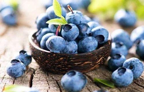 吃哈密瓜又吃蓝莓,双重美味体验