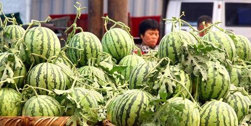 广西老瓜新吃,传统与创新交融的美食探索