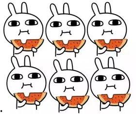 团团吃瓜叁三秀可爱,一场甜蜜的瓜界盛宴