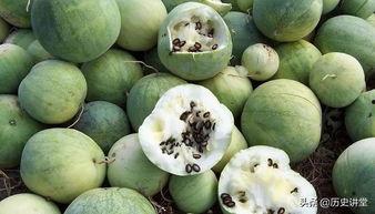 村口嗑瓜子吃瓜,闲话家常，品味乡村生活百态