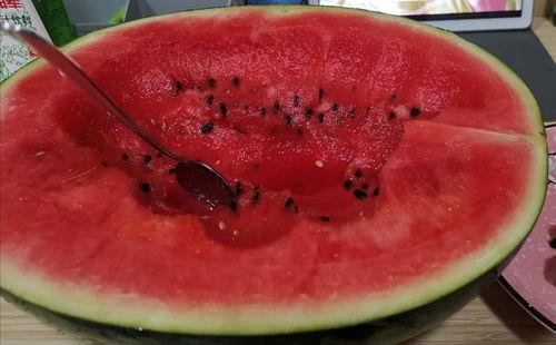 慎入吃瓜,揭秘网络舆论背后的真相与陷阱