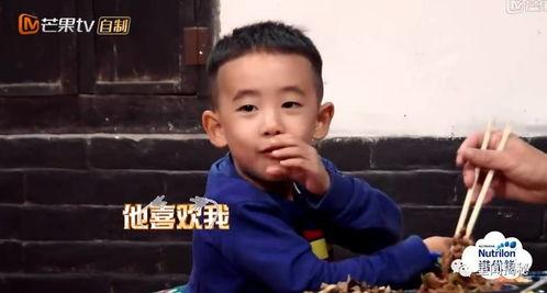 陈哥带你吃瓜,畅游味蕾盛宴