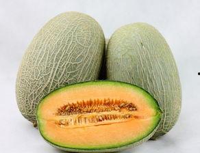 哈密瓜和扇贝一起吃,营养与美味的双重享受