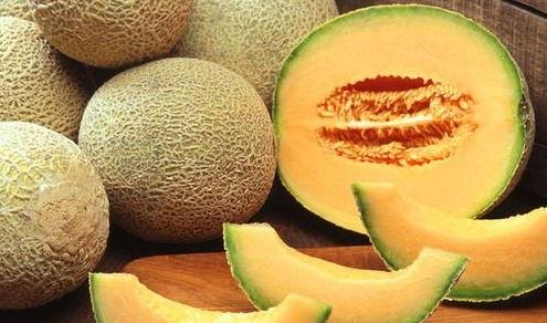 哈密瓜和扇贝一起吃,营养与美味的双重享受