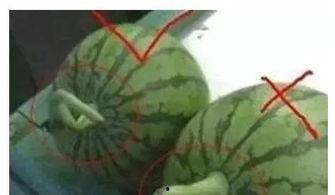 空调里吃瓜视频,空调里吃瓜的欢乐时光