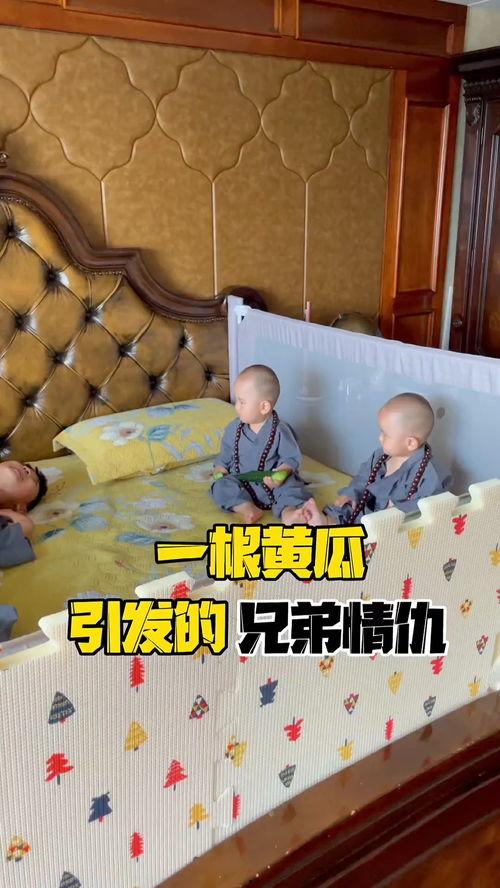 王大叔吃瓜,王大叔的瓜田奇遇记