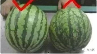 黑网吃瓜全网首发,全网首发生成，揭秘网络舆论背后的秘密