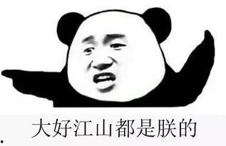 吃瓜群加,网络社交新现象背后的故事