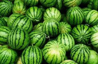 吃瓜群加,网络社交新现象背后的故事